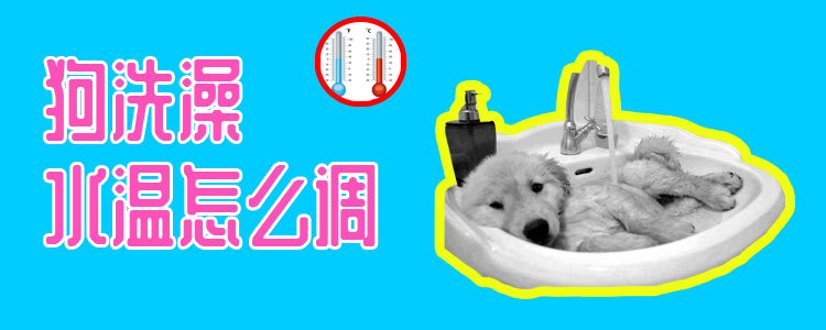 狗洗澡水溫怎么調(diào)