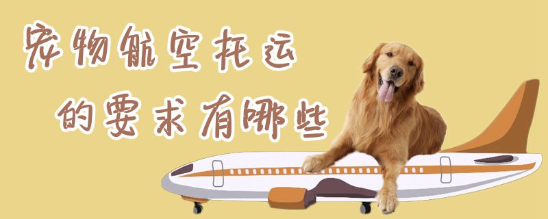 寵物航空托運的要求有哪些