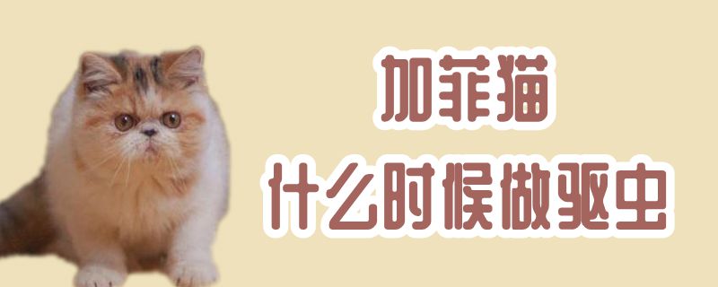 加菲貓什么時(shí)候做驅(qū)蟲