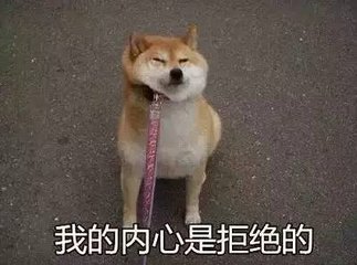 狗吃巧克力為什么會死 狗狗為什么不能吃巧克力