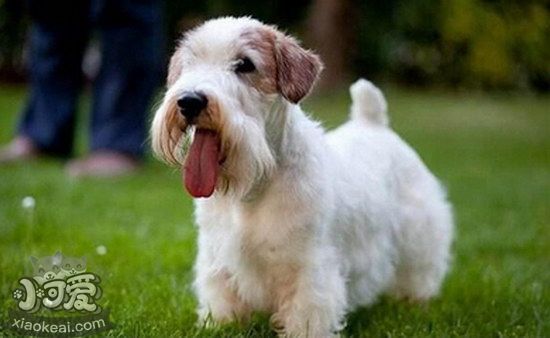 錫利哈姆梗感冒怎么治療 錫利哈姆梗感冒護(hù)理方法1