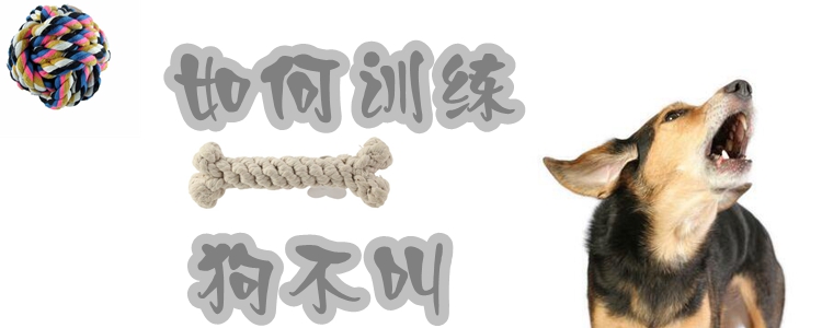 如何訓(xùn)練狗不亂叫