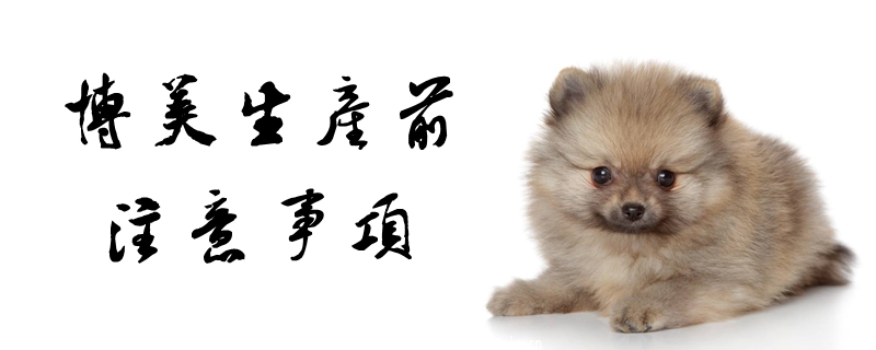 博美生產(chǎn)前注意事項