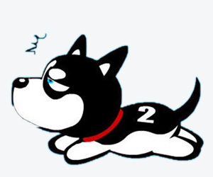 狗鉤蟲(chóng)病怎么治療