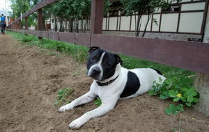 斯塔?？ざ放９＠亲釉趺粗?斯塔?？ざ放９＠≈委煼椒? / data-HEpD=