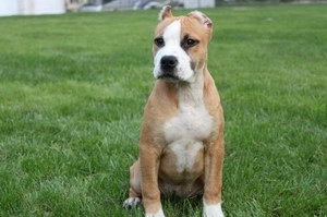 斯塔?？ざ放９＜纳x怎么預防治療方法