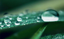 白露節(jié)氣后熱不熱2017 白露節(jié)氣的氣候特征