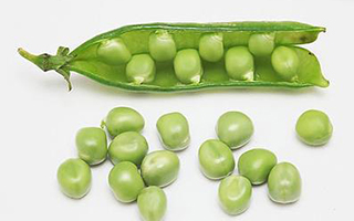 月子病風(fēng)濕怎么治 月子病拉肚子怎么冶