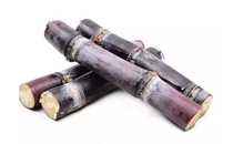 甘蔗吃多了會(huì)得糖尿病嗎 甘蔗一天吃多少合適