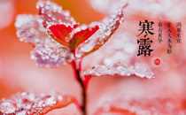 寒露當(dāng)天吃什么好 寒露當(dāng)天就什么習(xí)俗講究