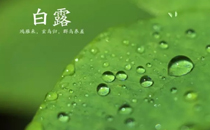 秋分吃螃蟹好嗎 秋分可以吃螃蟹嗎