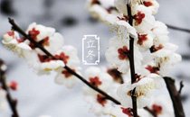 立冬可以同房嗎 立冬同房好不好