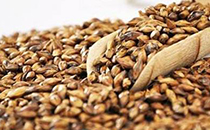 月子洗頭后頭痛怎么辦 坐月子洗頭如何弄干