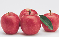 坐月子可以吃柿子嗎 哺乳期吃柿子寶寶會拉肚子嗎