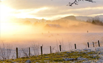 2018星巴克全新跨年飲品有什么 2018星巴克全新跨年飲品上市時間