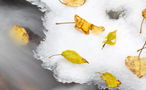 冬天用冷水洗澡會感冒嗎 冬天冷水洗澡對身體好嗎