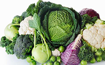 易瘦體質(zhì)是怎么形成的 如何改變易胖體質(zhì)