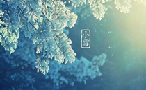 2017小雪節(jié)氣出生的雞寶寶取名叫什么好 2017小雪節(jié)氣出生的孩子名字大全