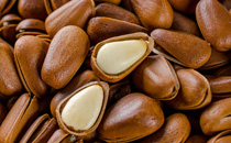 每天吃牛油果會發(fā)胖嗎 牛油果幾天吃一個比較好