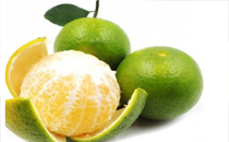 2018盛京燈會什么時候開始 2018盛京燈會時間地點