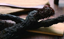 脾虛吃什么藥效果最好 脾虛的人不能吃什么食物