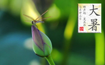 夏天吃中藥調(diào)理好嗎 夏天進(jìn)補(bǔ)吃什么中藥好