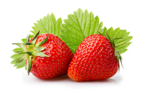 孕婦冬天可以吃桂圓嗎 冬天孕婦吃桂圓好嗎