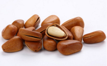 松子是發(fā)物嗎 2018松子多少錢一斤