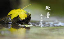 立秋前后可以種的蔬菜有哪些 立秋前后開什么花