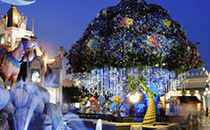 廈門1月份氣溫是多少 一月份去廈門旅游穿什么衣服鞋子合適