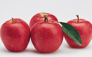 平菇寶寶吃了會(huì)過(guò)敏嗎 哺乳期能吃平菇嗎