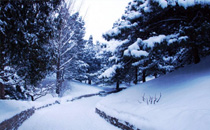 冬天最好幾天洗一次澡 冬天一周洗幾次澡最好