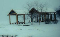 2018年立春是幾九 2017~2018最冷的幾九天是哪幾天