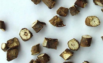 蒲公英根和葉哪個好 蒲公英根的功效有哪些