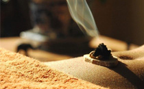 孕婦可以吃冬蟲夏草嗎 冬蟲夏草哪些人不能吃