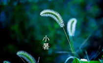 2017小暑過(guò)后多久入伏 小暑后幾天入伏2017