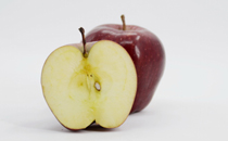 寶寶咳嗽有痰可以吃白蘿卜嗎 寶寶咳嗽有痰白蘿卜食療偏方