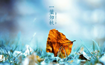 立秋為什么要吃茄子 立秋吃茄子有什么好處