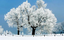 冬至前冷還是冬至后冷 冬至到底有多冷2017