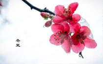 冬至吃湯圓的寓意 為什么冬至要吃湯圓