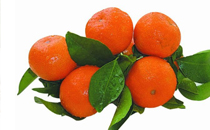 紅豆薏米比例多少合適 紅豆薏米放多少水最好