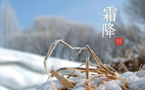 霜降可以腌菜嗎 霜降節(jié)氣怎么腌菜好