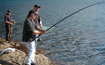 2017立冬出生的雞寶寶取名叫什么好 2017立冬出生的孩子名字大全