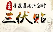 三伏貼一次貼多長時間 三伏貼貼幾個小時最好