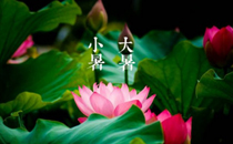 2017年小暑熱不熱 小暑熱還是大暑熱2017