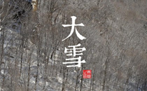 大雪節(jié)氣是什么蔬菜好 大雪節(jié)氣時(shí)令蔬菜水果有哪些