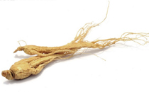 人參和枸杞能同時泡酒嗎 人參和枸杞泡酒的功效