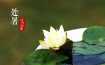 處暑可以斷奶嗎 處暑斷奶好不好