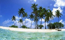 小時候吃的無花果絲是什么做的 小時候吃的無花果哪里有賣