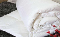 羽絨被可以曬嗎 羽絨被怎么曬正確